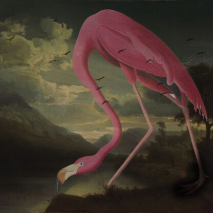 Photo edit featuring a colossal flamingo gracefully inhabiting a dark and brooding oil-painted landscape.